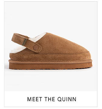 Meet the Quinn!